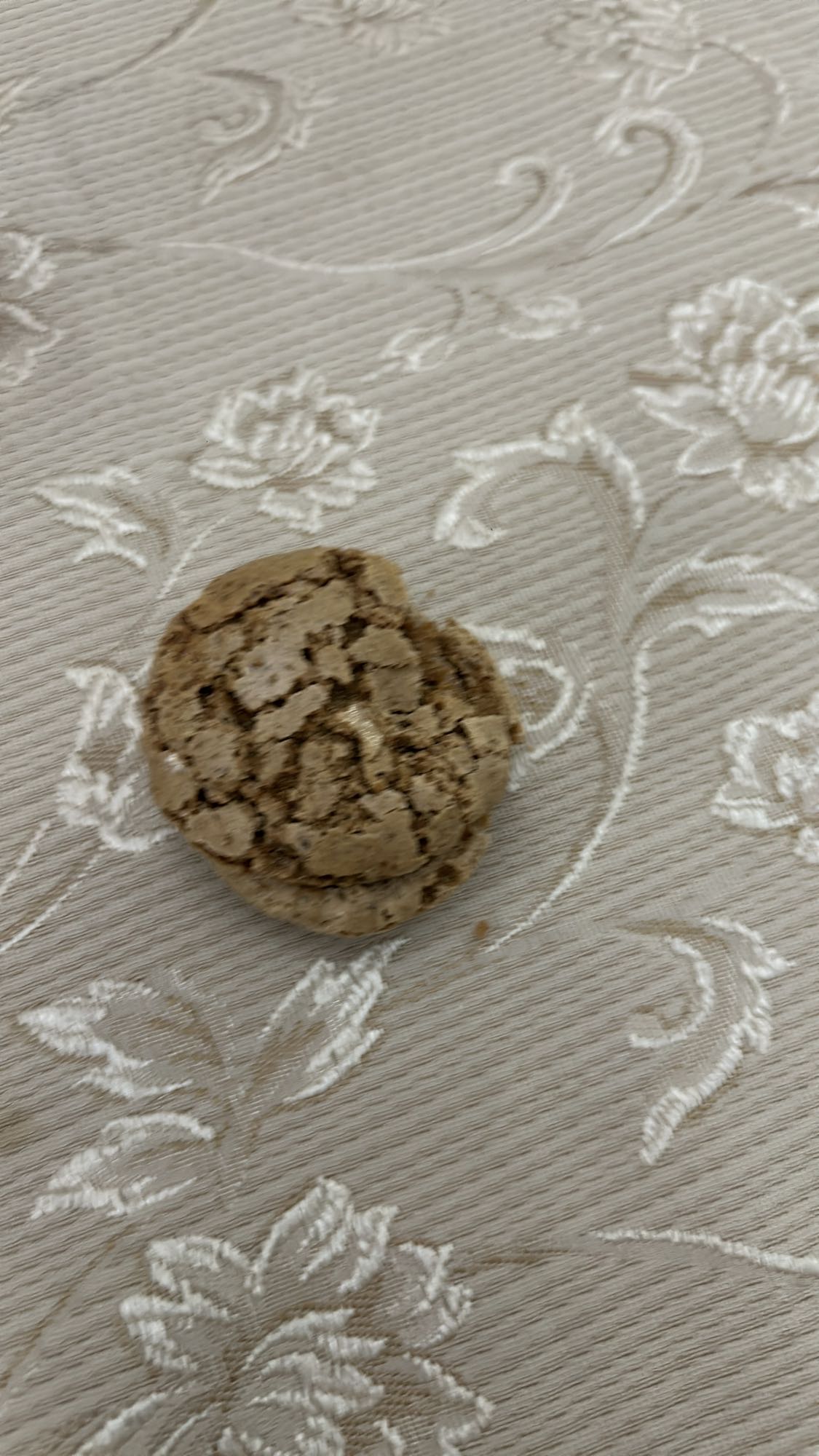 Chocolate Cookie