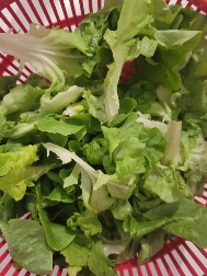 Salade verte fraîche
