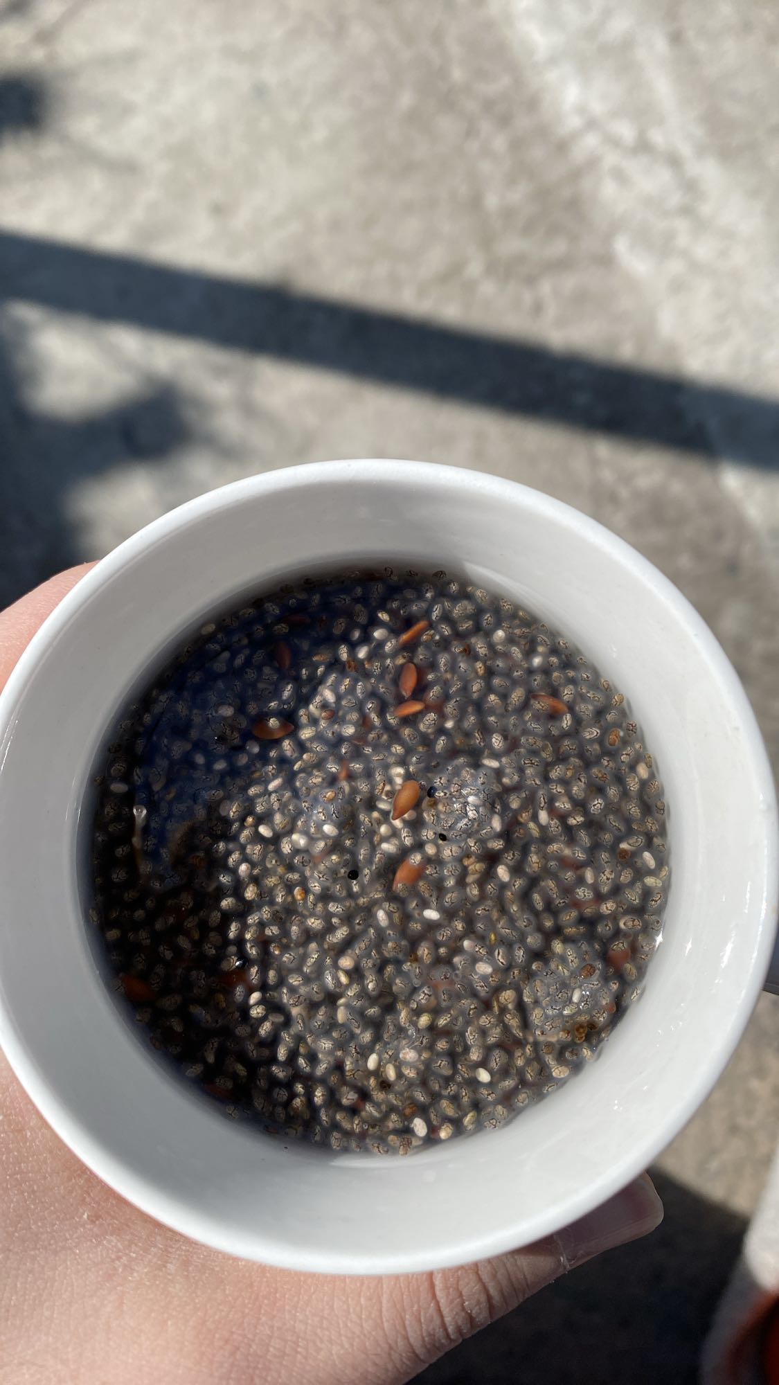 Chia Seed Pudding
