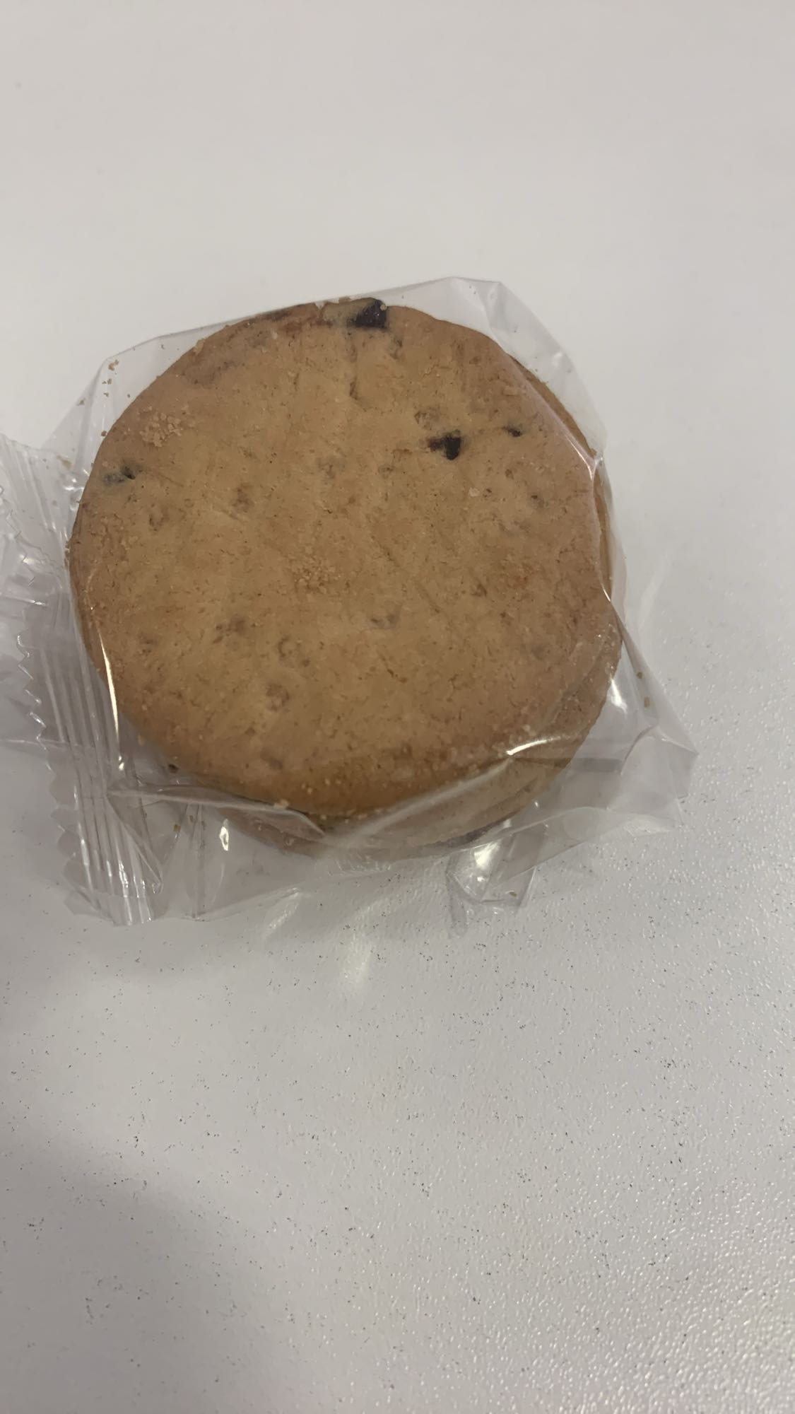 Chocolate Chip Biscuit