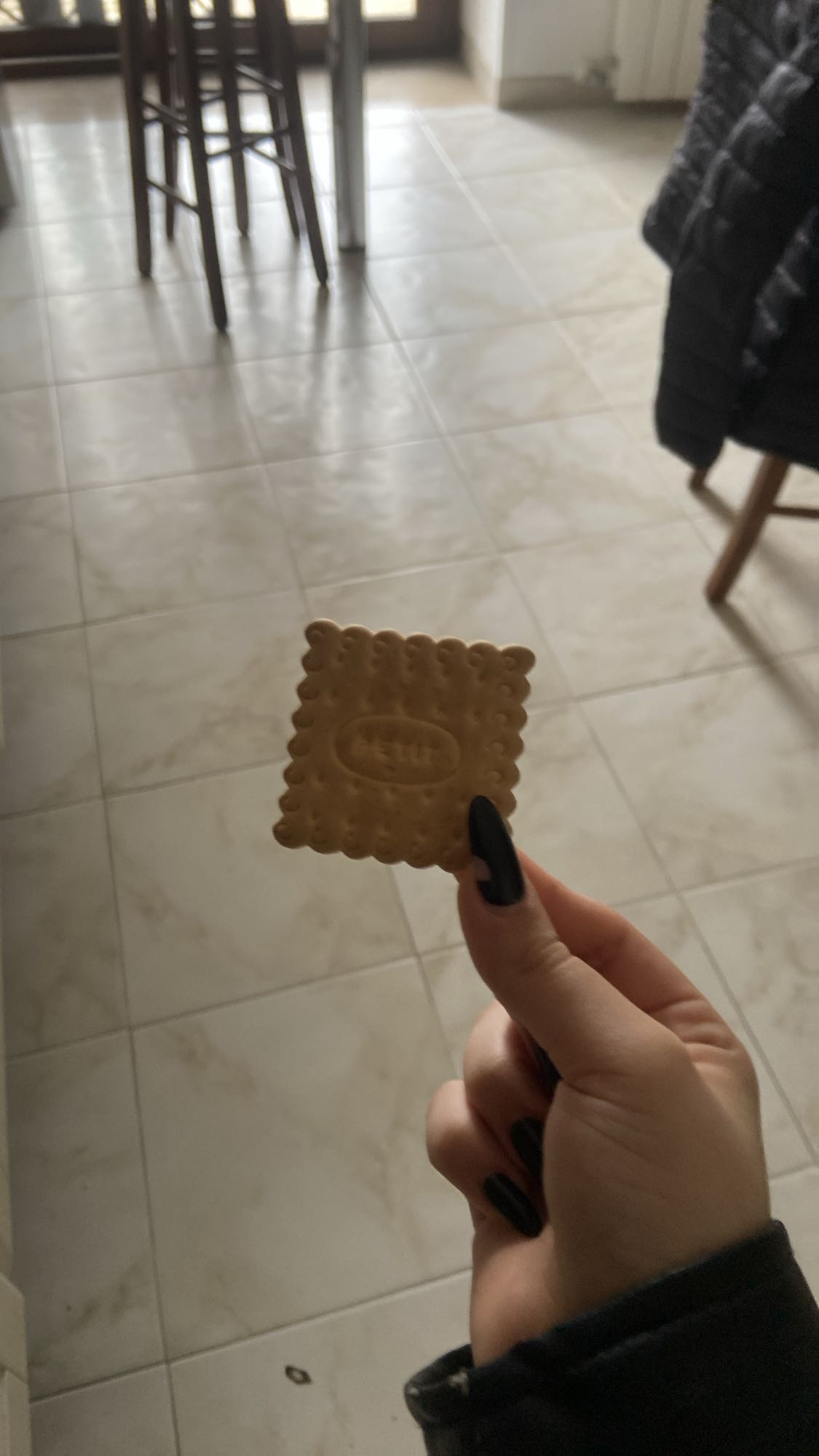 Plain Biscuit