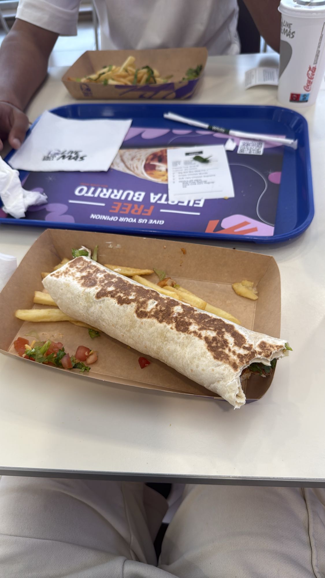 Grilled Burrito with Fries