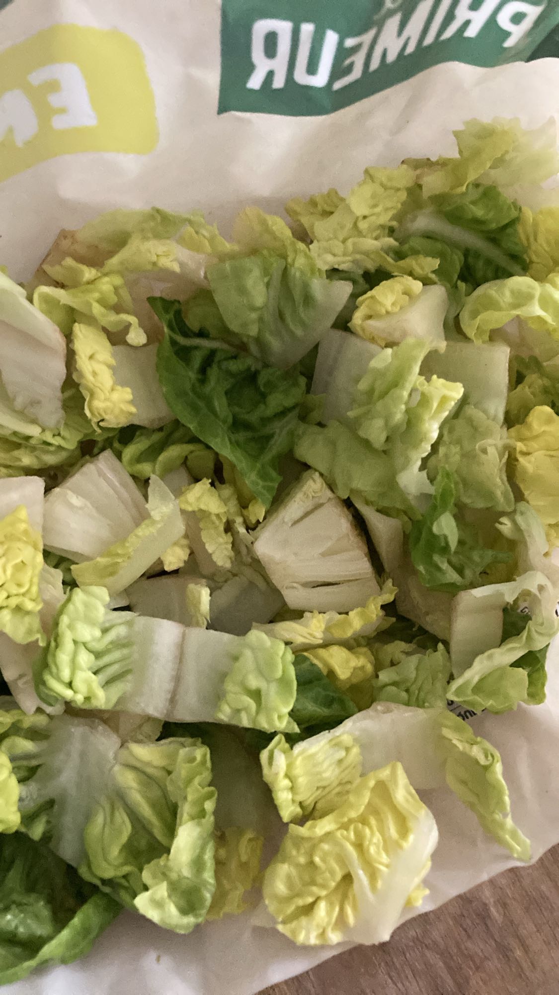 Salade verte fraîche