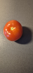 Fresh Tomato