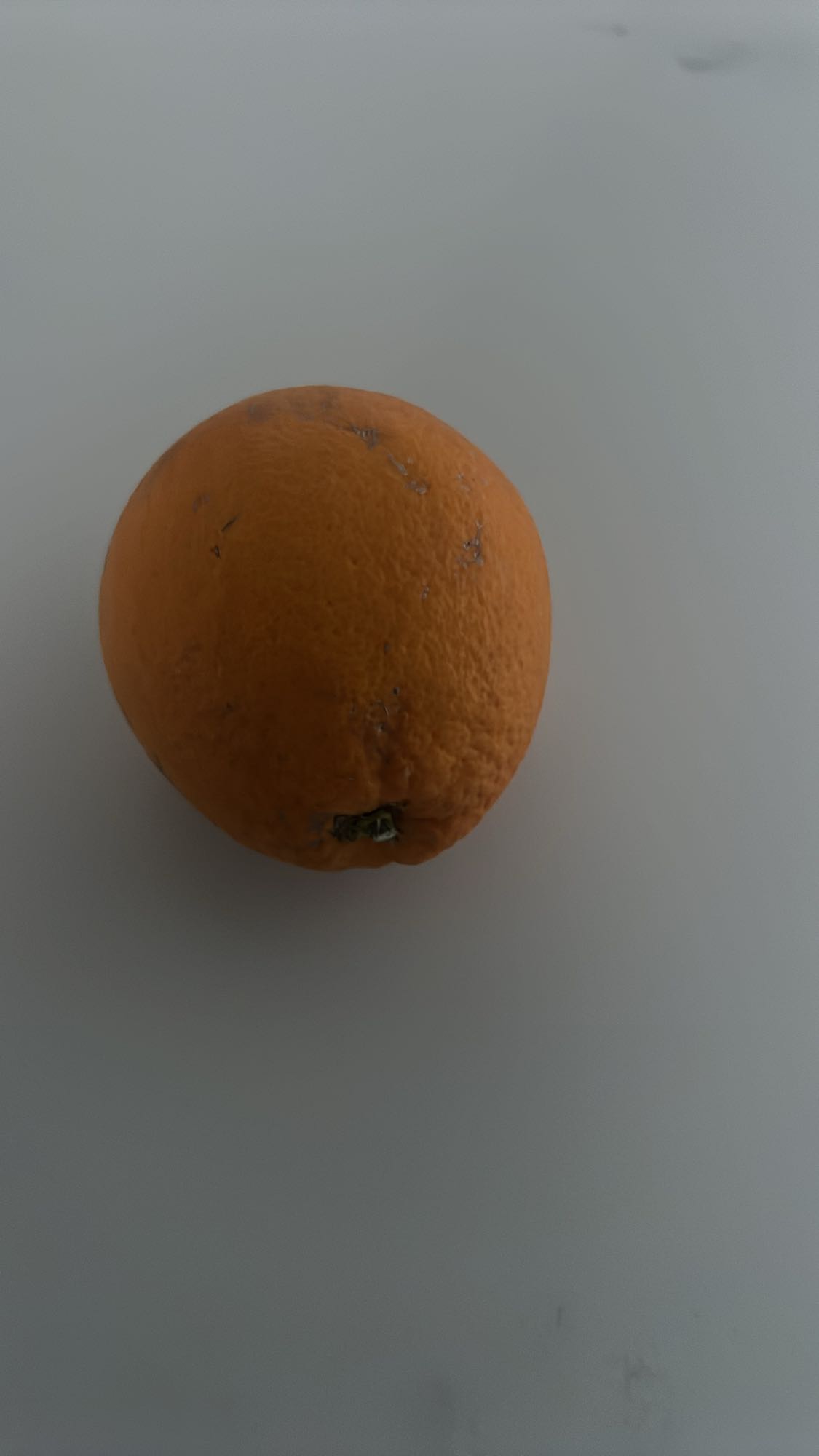Orange fraîche