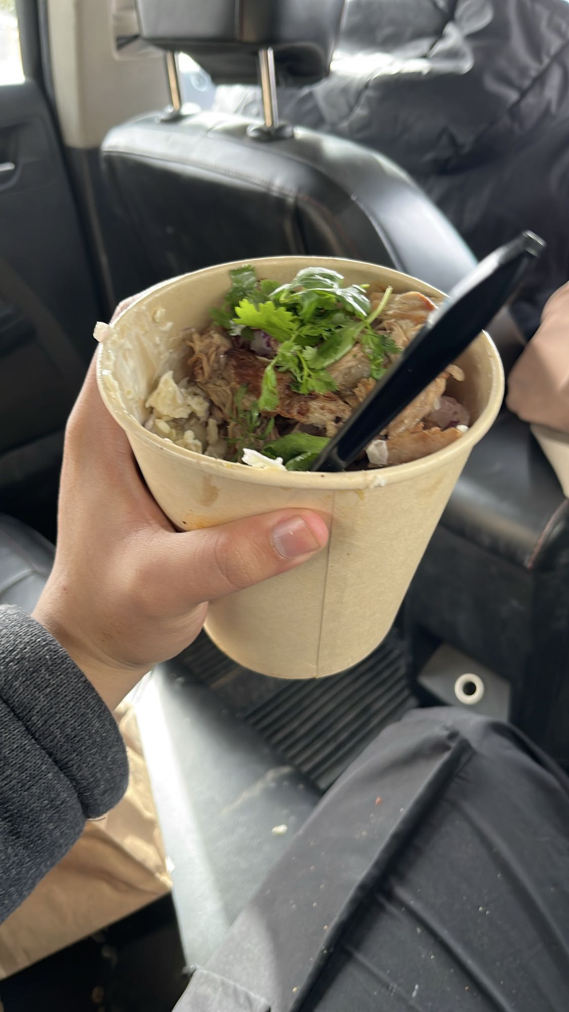 Tazón de carne y arroz