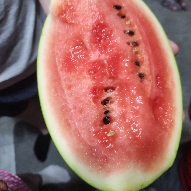 Watermelon Slice