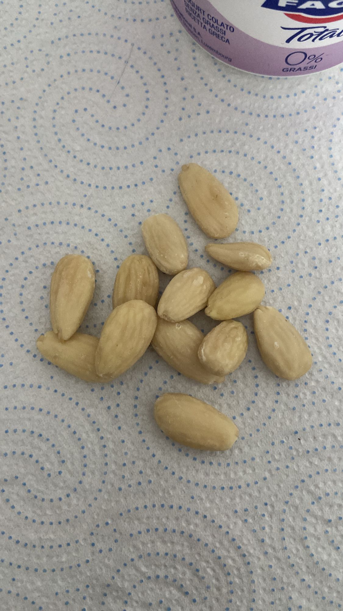 Greek Yogurt with Almonds