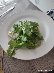 Salade verte