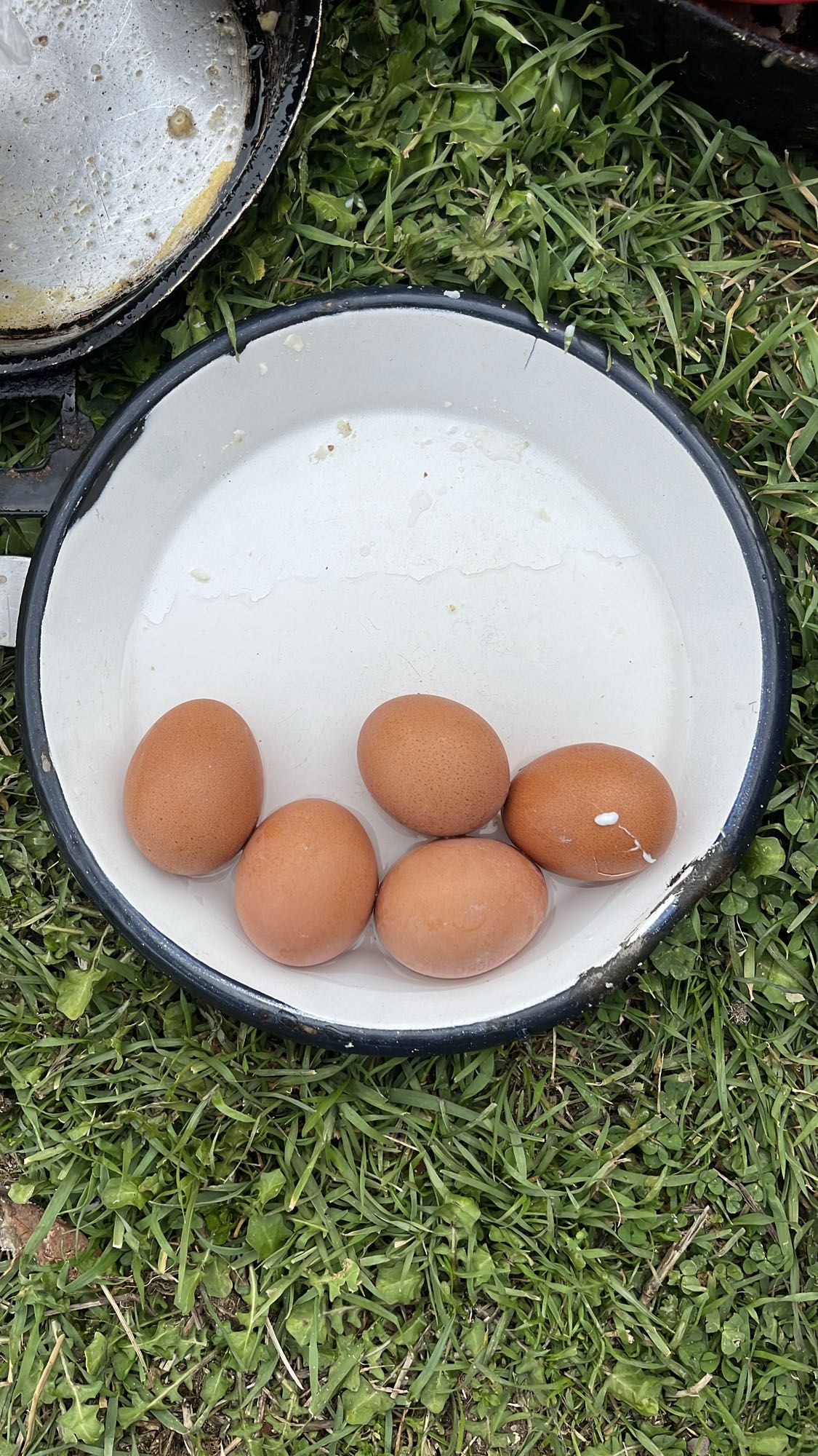 Haşlanmış Yumurta