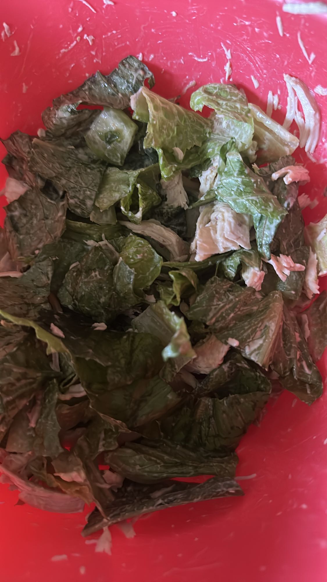 Chicken Caesar Salad