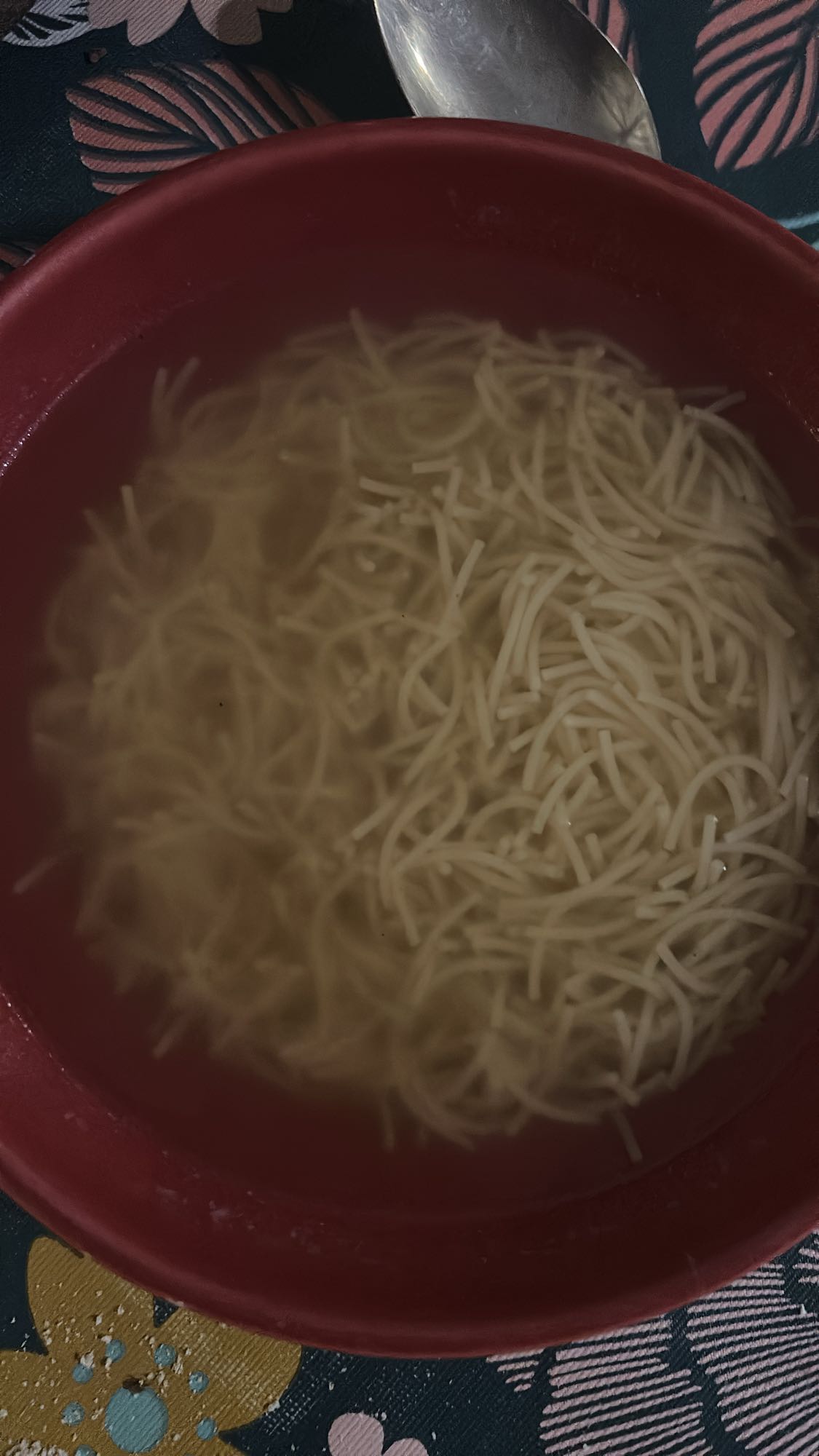 Soupe de vermicelles
