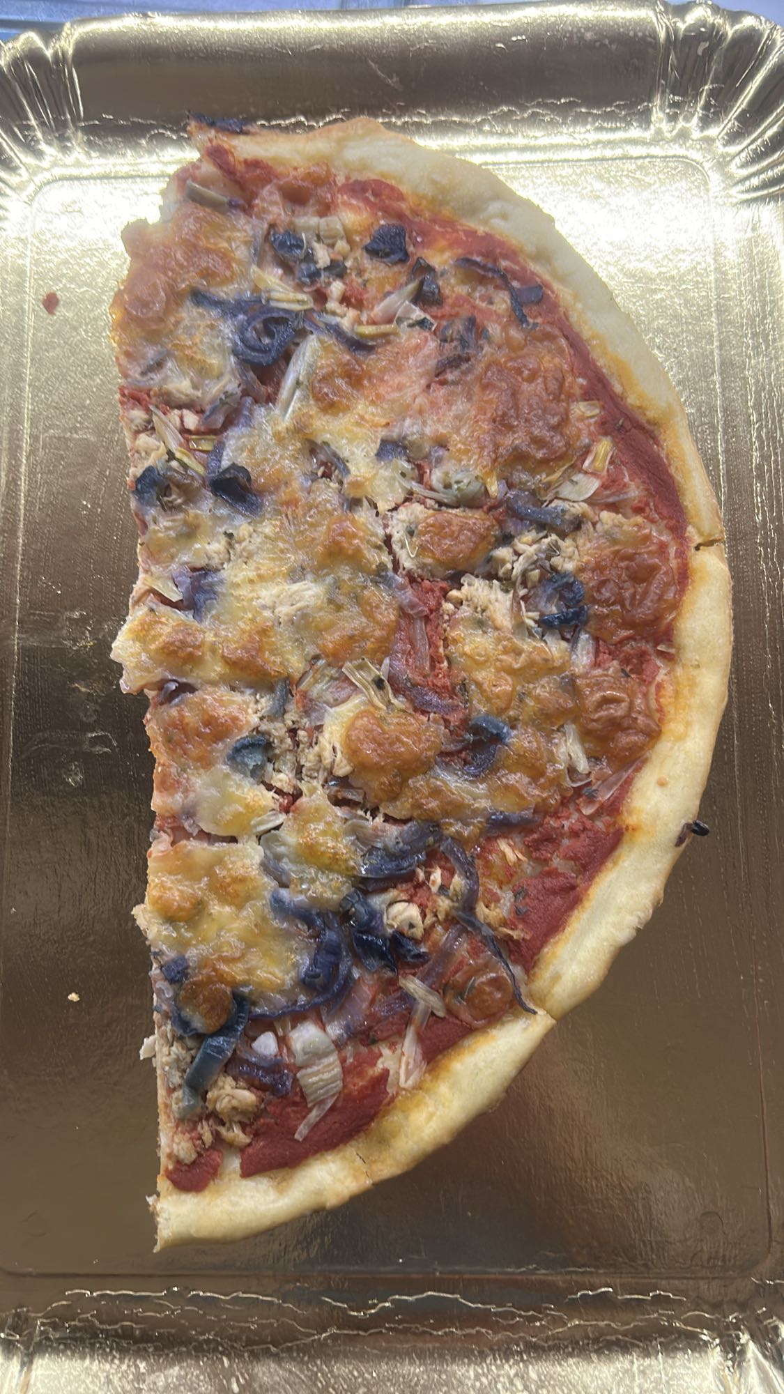 Half Cheese and Onion Pizza