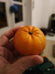 Mandarin Orange
