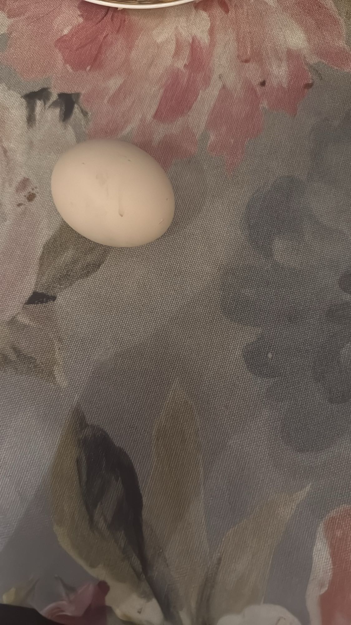 Варёное яйцо