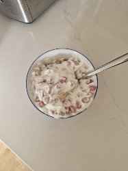 Yogurt with Granola