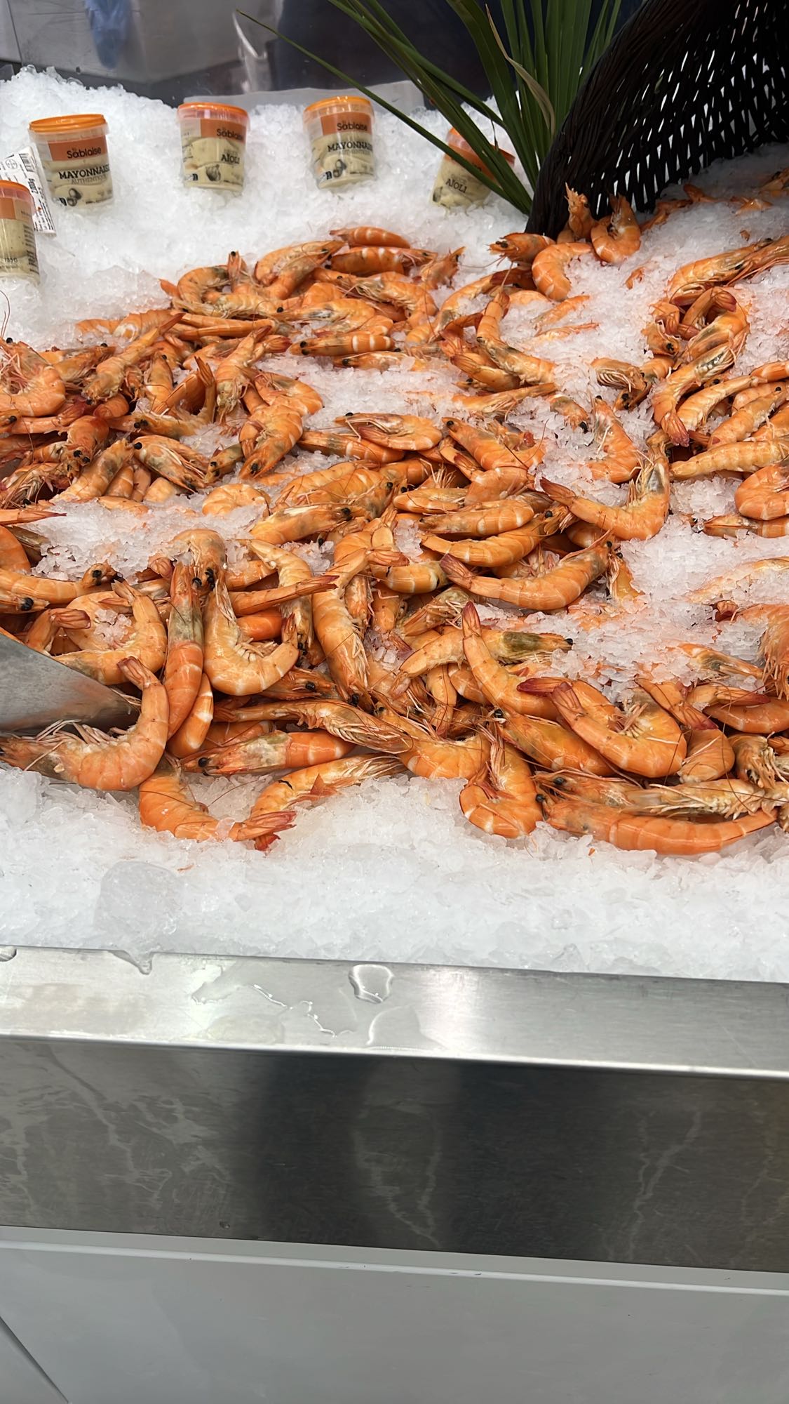 Crevettes fraîches