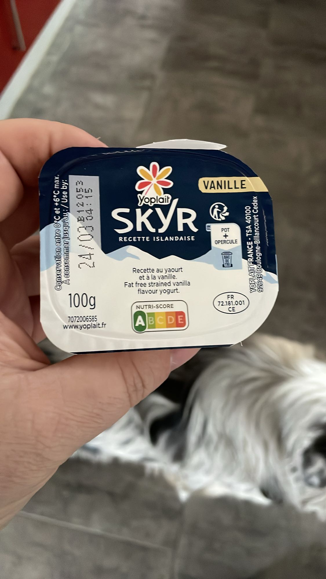 Skyr Vanille