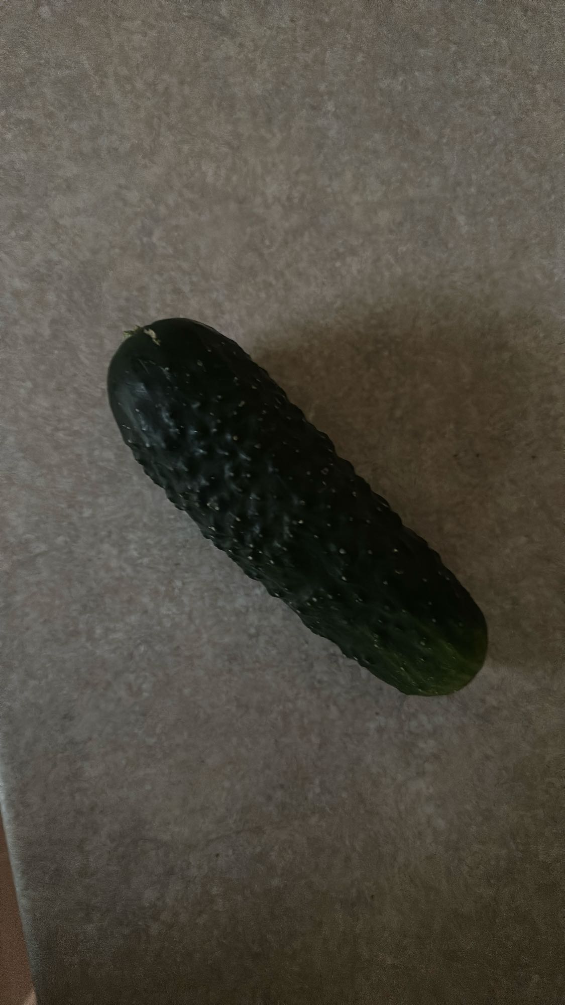 Fresh Cucumber