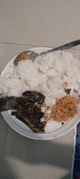 Rice with Fish and Sauce