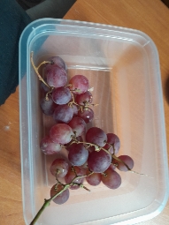 Red Grapes