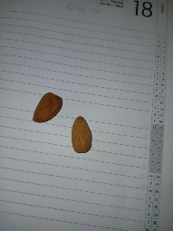 Almond Snack