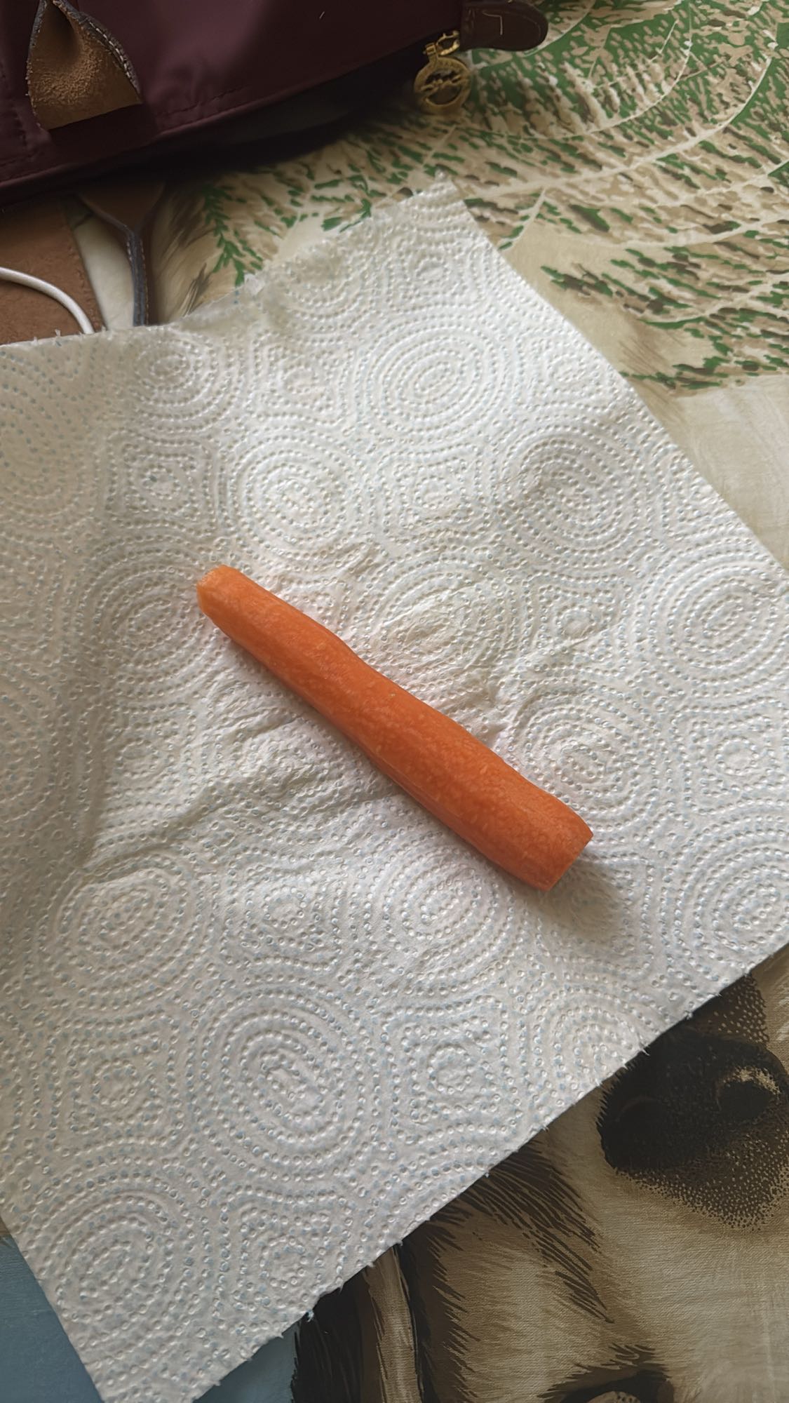 Raw Carrot Snack