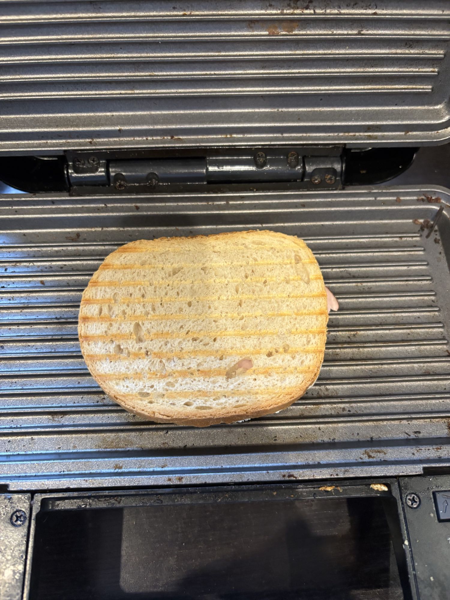 Grilled Sandwich