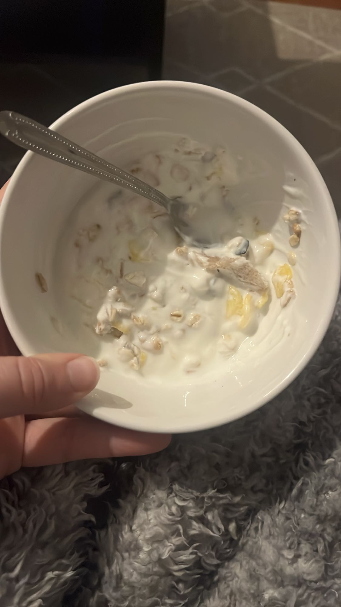 Yaourt aux céréales