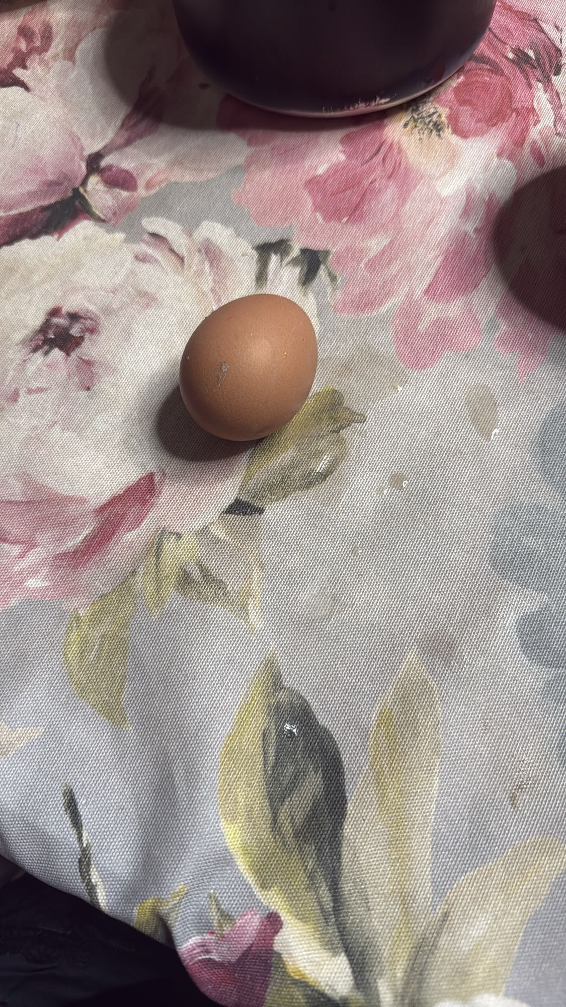 Куриное яйцо