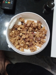 Yogurt with Granola