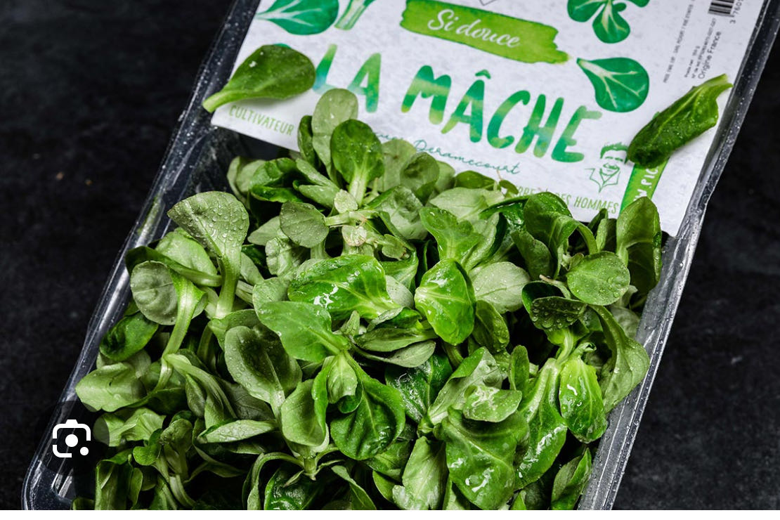 Salade de mâche