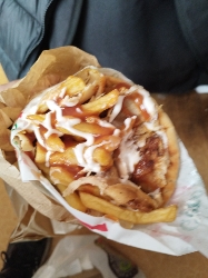 Chicken Gyro with Fries