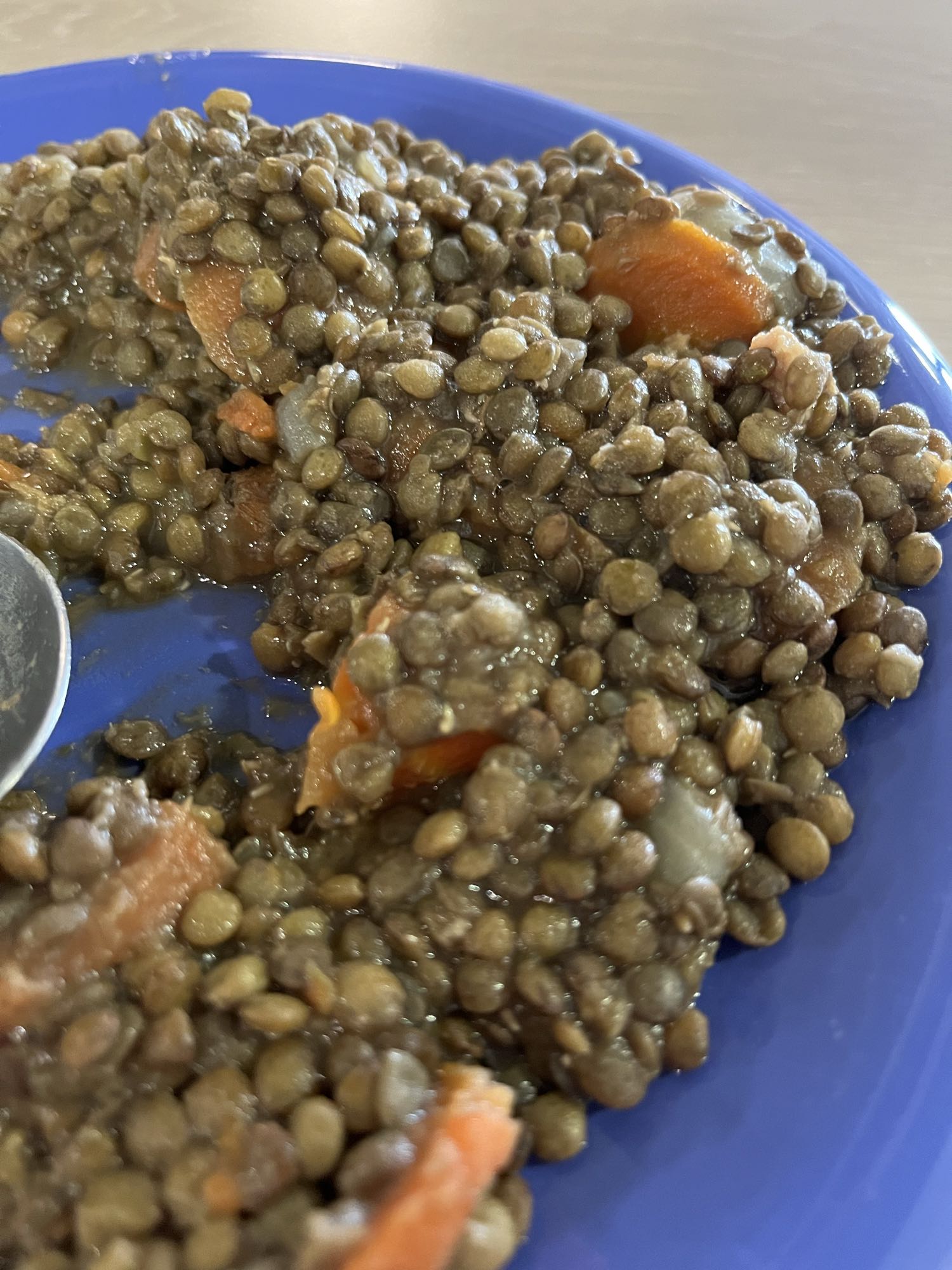 Lentilles aux légumes