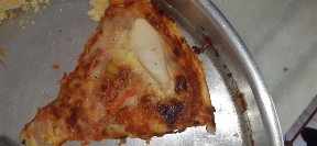 Chicken Pizza Slice