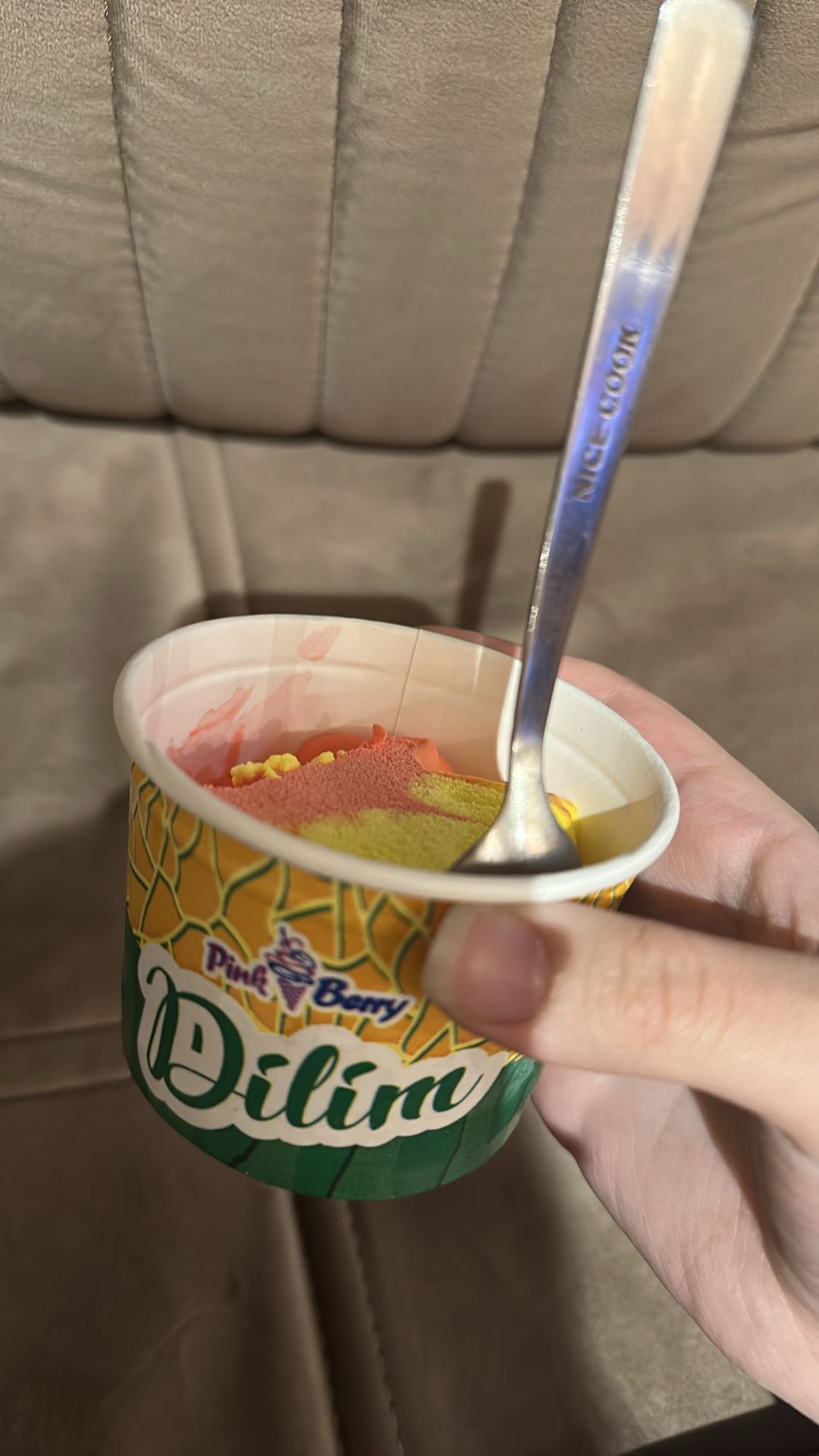 Fruit Flavored Ice Cream