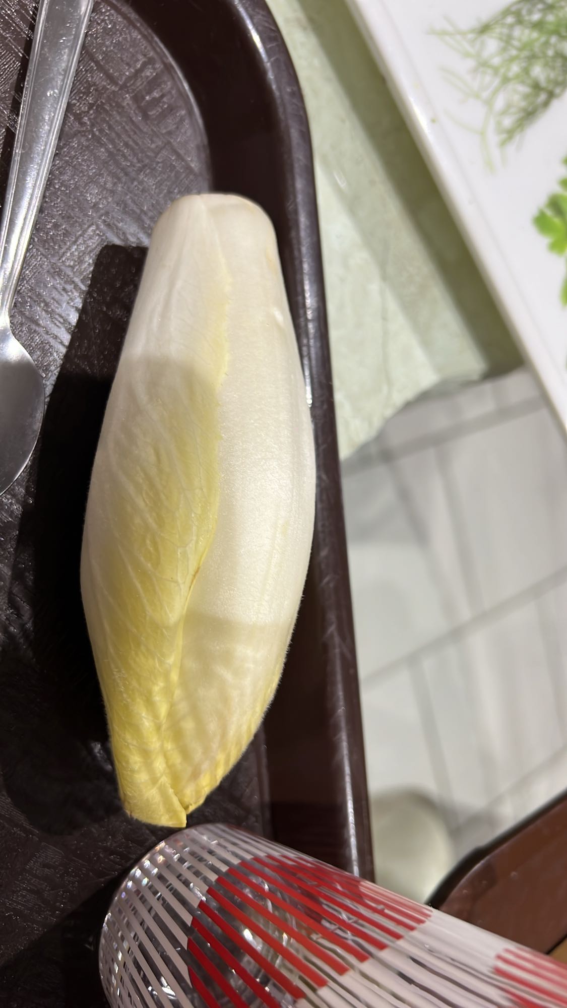 Endive fraîche