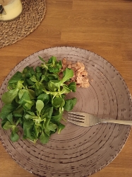 Tuna Salad