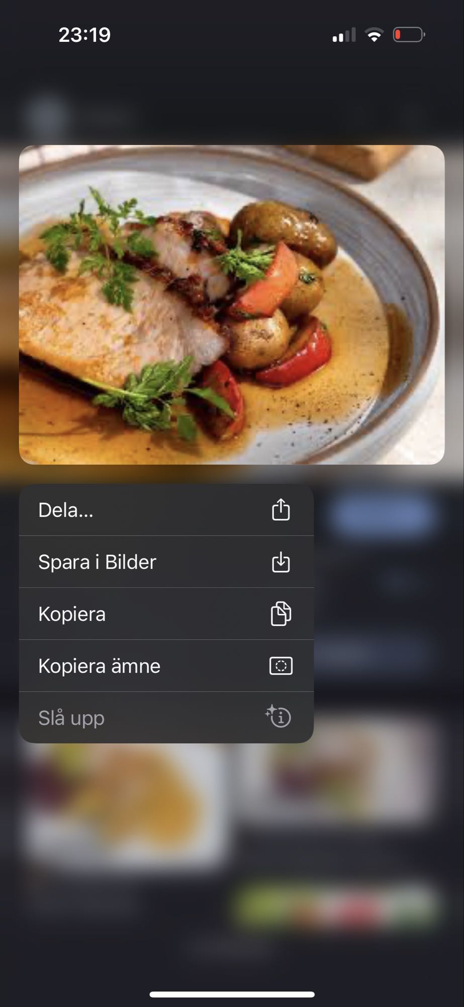 Fläskkotlett med sås