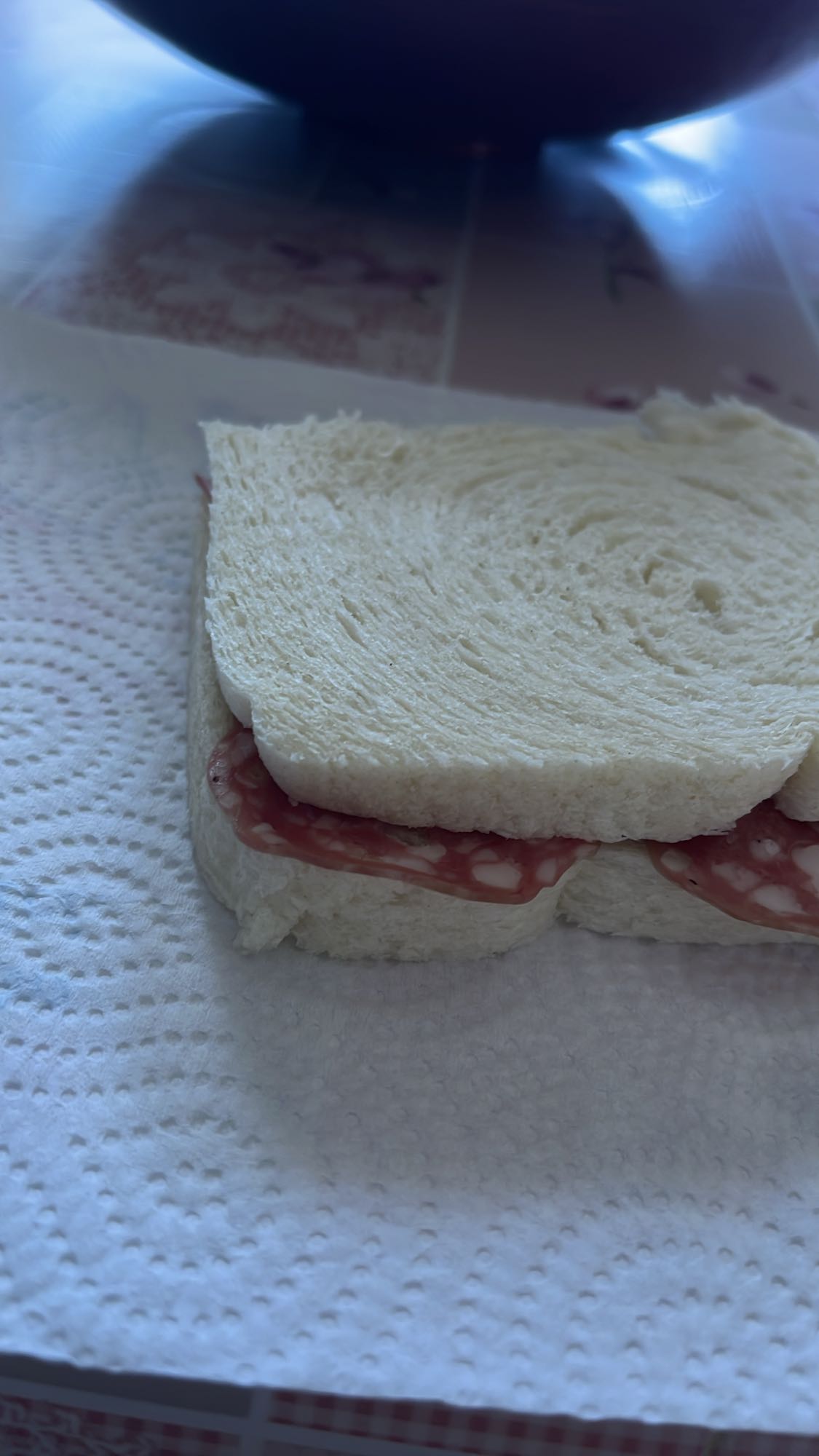 Salami Sandwich