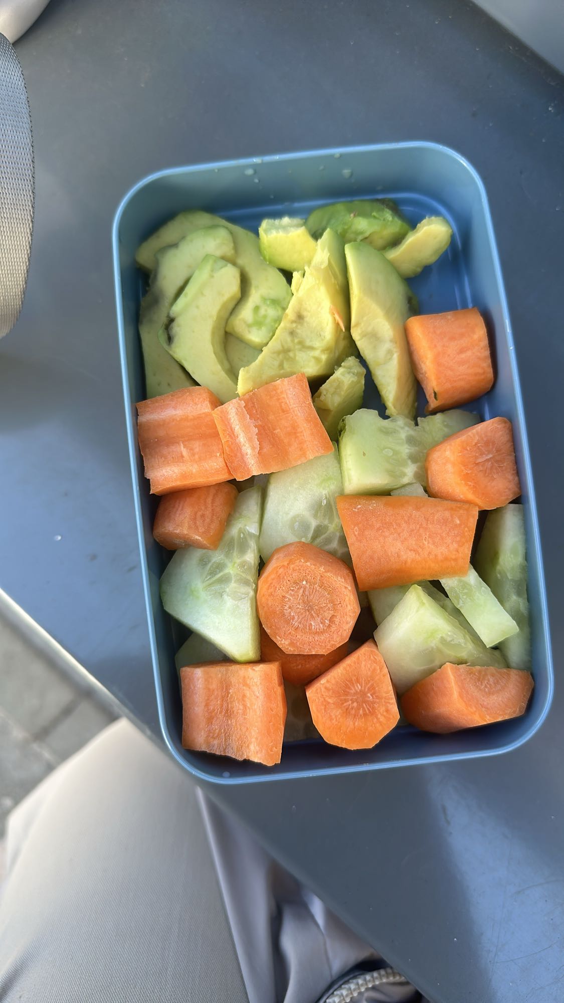 Avokado ve Sebze Salatası