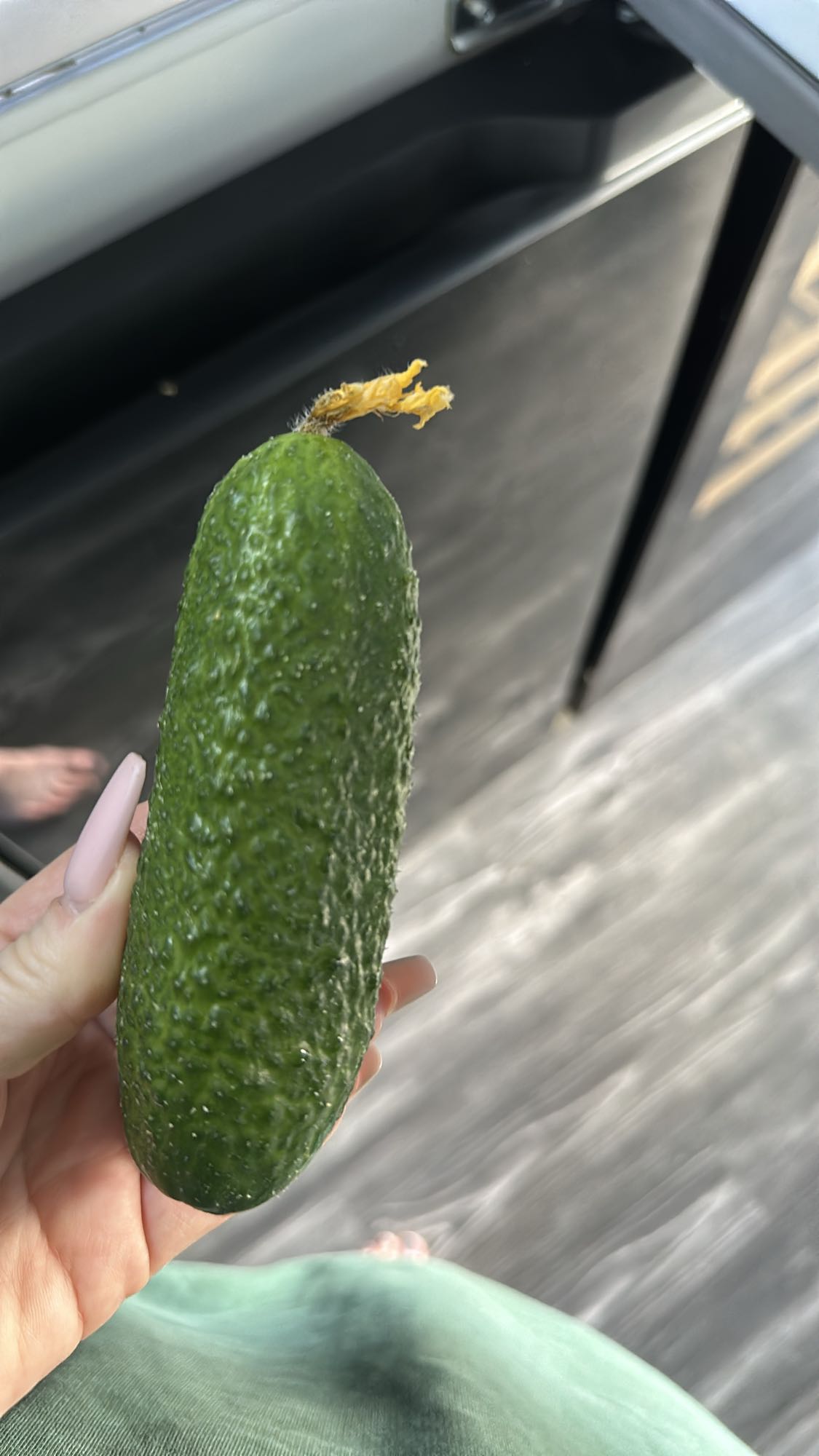 Огурец свежий