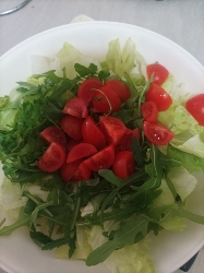 Fresh Green Salad