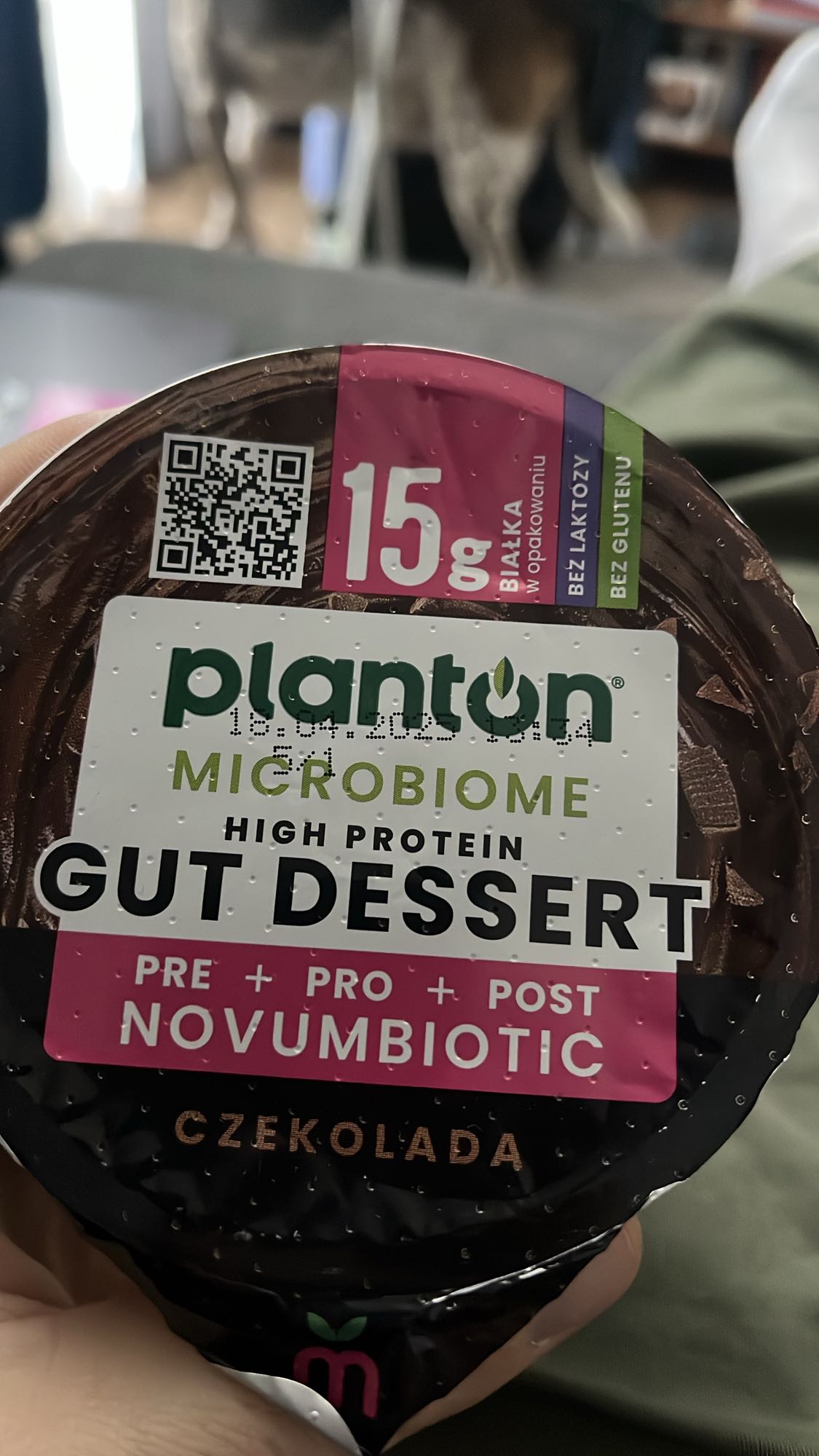 Deser białkowy czekoladowy