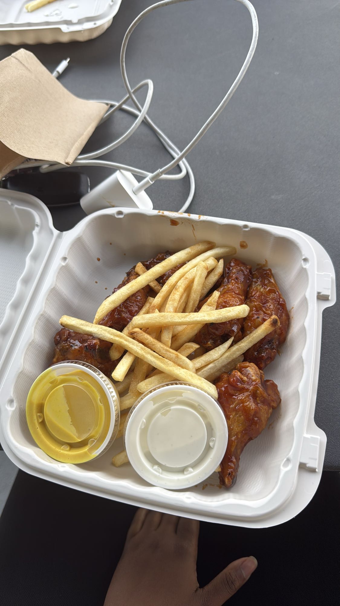 BBQ Wings with Fries