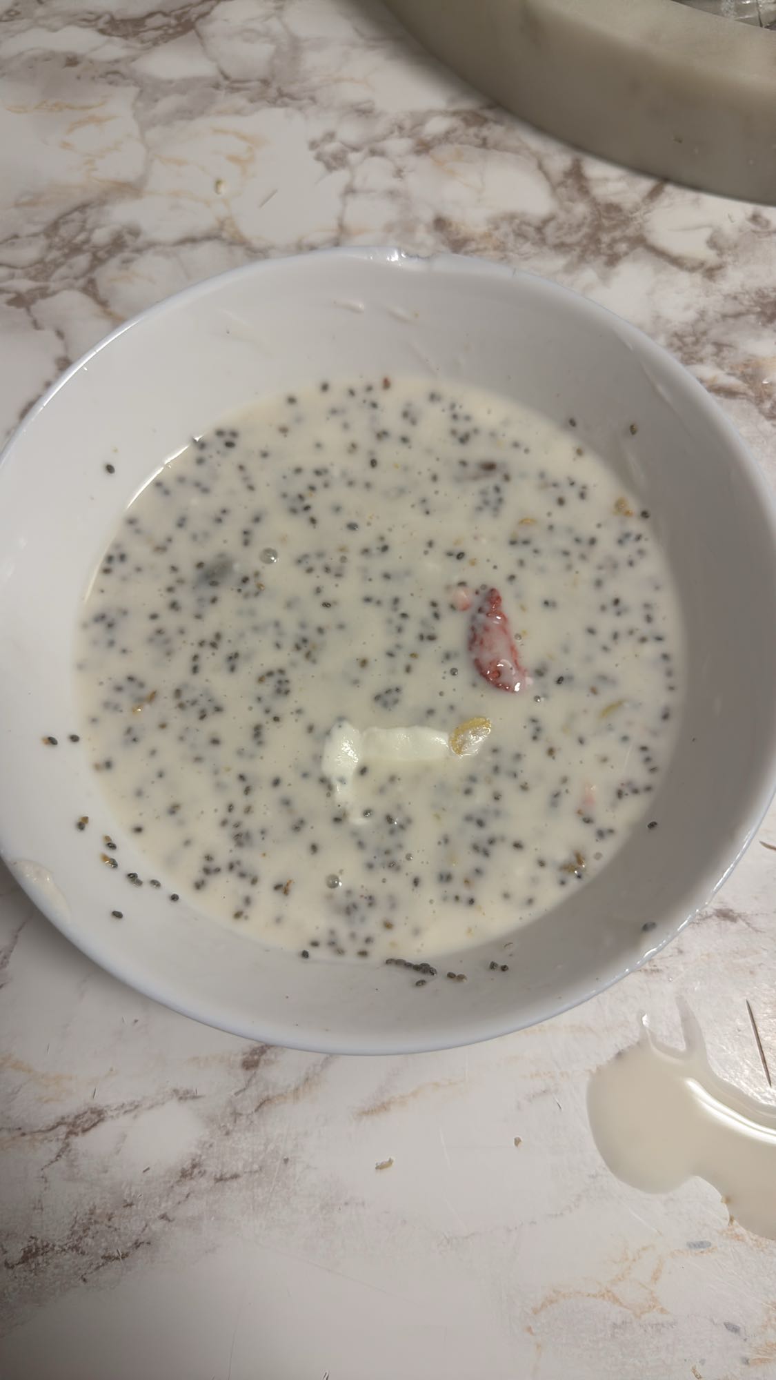 Chiapudding med yoghurt