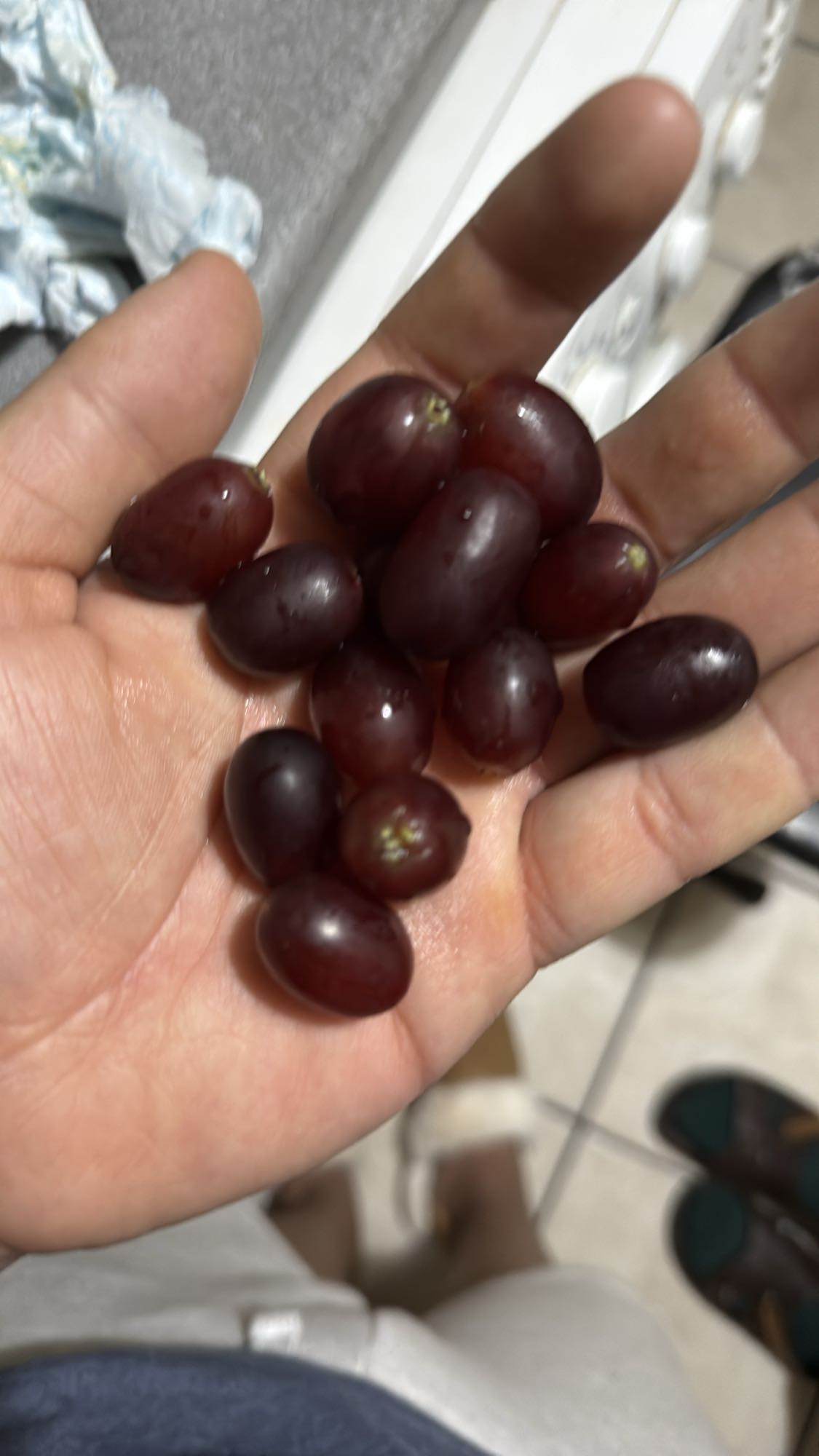 Red Grapes Snack