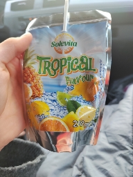 Tropischer Fruchtsaft