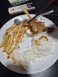 Rice with fries and meat