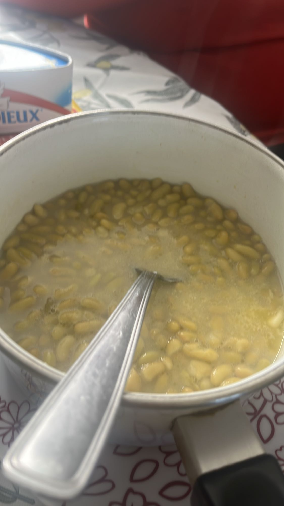 Haricots blancs bouillis